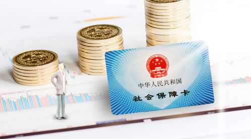軟件開發(fā)人員公司職工社會保險年度費用分析